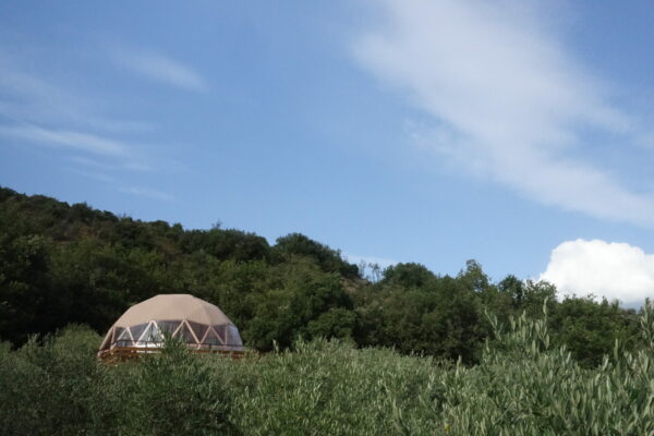 dome geodesique bois